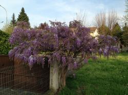 Profile: LespaceEffaceLeBruit