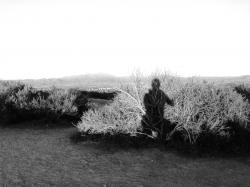 Profile: greenJOHN1971