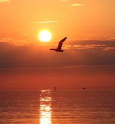 User Profile: WarmSunrise