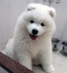 User Profile: TurqTheBear