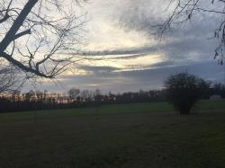 User Profile: warmJoy77