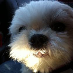User Profile: Amabel