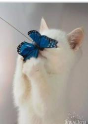 Profile: fantasticSnowflake54