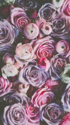 Profile: positiveLove82