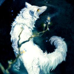 User Profile: Aryore