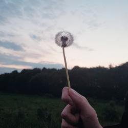 User Profile: AlyX769