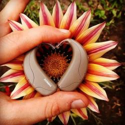 User Profile: warmMagic45