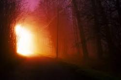 Profile: AlteredLight