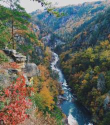 Profile: brilliantRiver83
