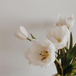 Profile: versatileWinter79