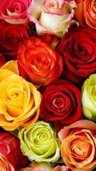 User Profile: wishyouthebest