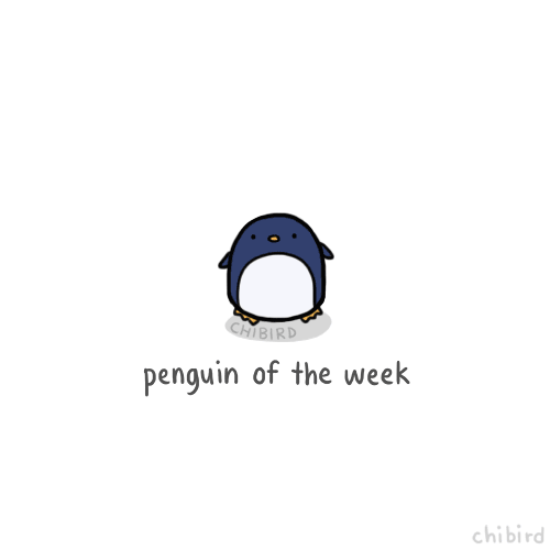 Profile: Chingu