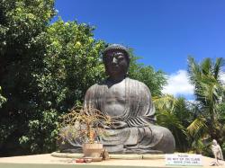 Profile: theteayogi