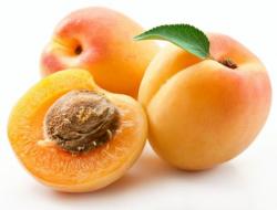 Profile: handsomeapricot