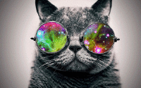 User Profile: Annya