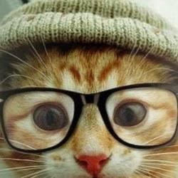 User Profile: WrenGS