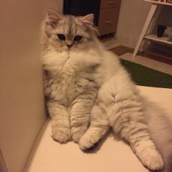 User Profile: zeynik