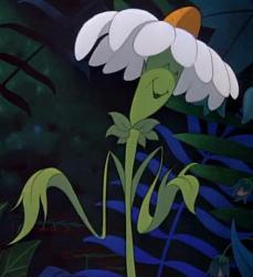 User Profile: fluttershy13