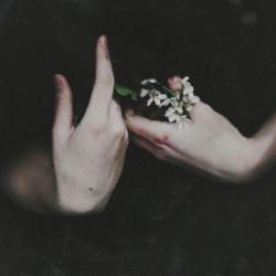 User Profile: Warmheart18