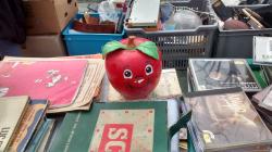User Profile: Willam