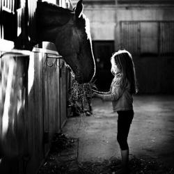 User Profile: EquestrianProgress