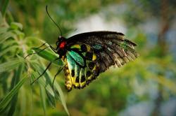 User Profile: BeautifulMoments25