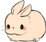 Profile: UchiBunny