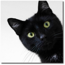 User Profile: SamListens7