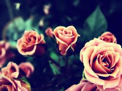 Profile: FindTheBeauty