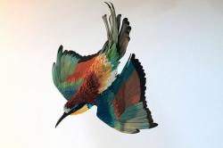 Profile: PaperSparrow