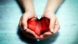 User Profile: CalmMindfulHeart