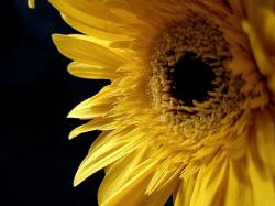 User Profile: MindfulnessAndHarmony