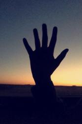 User Profile: Aythya