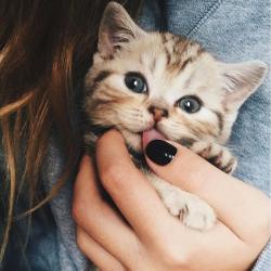 User Profile: wishfulSoul59