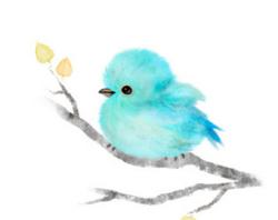 Profile: electricbird