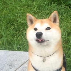 Profile: mada7