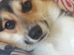 User Profile: Abubbleslife
