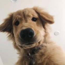 User Profile: sereneSmiles33