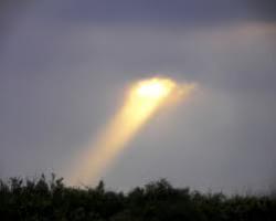 Profile: Sunshine38