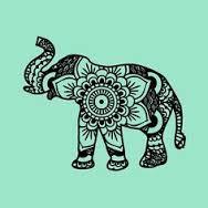 Profile: Mia27Elephants