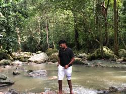 User Profile: silverWillow81
