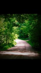 User Profile: healingForest79