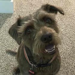 User Profile: TannDee