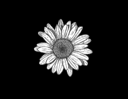 User Profile: wildmindedwallflower