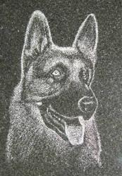 User Profile: etchingsonthewall