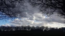 Profile: professionalDreamer75