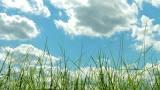 User Profile: softNatural60