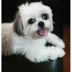 User Profile: camimiloves