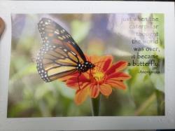 User Profile: HelpfulHealings73