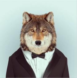 Profile: MrWolf